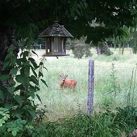 La Raimbaudiere